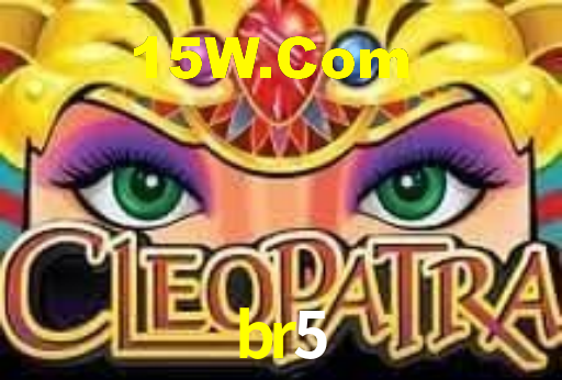 Programa VIP br5