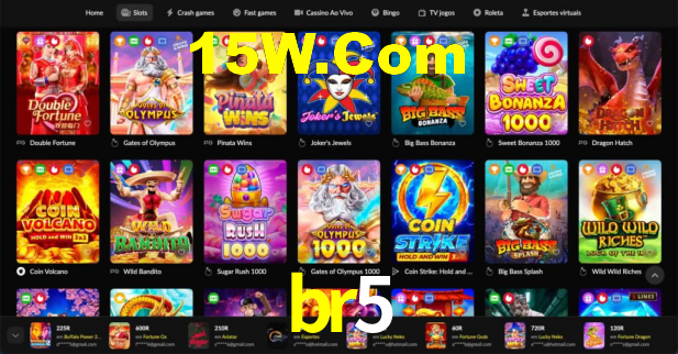 Premium Interface br5
